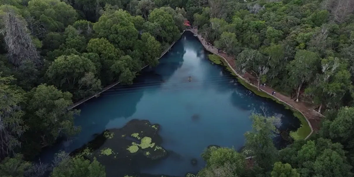 Bosque de las Truchas: el plan perfecto para una escapada a Hidalgo