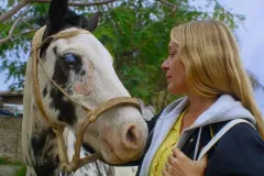 MUBI ofrece buena programación este mes de julio