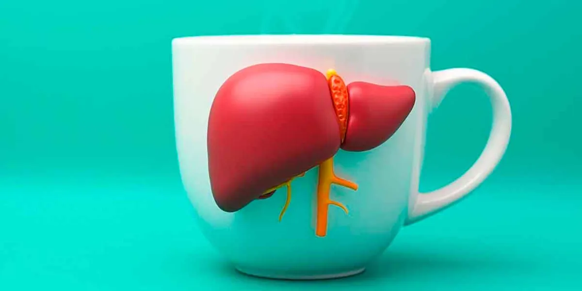 ¿El café ayuda al hígado graso? Esto descubrieron los científicos