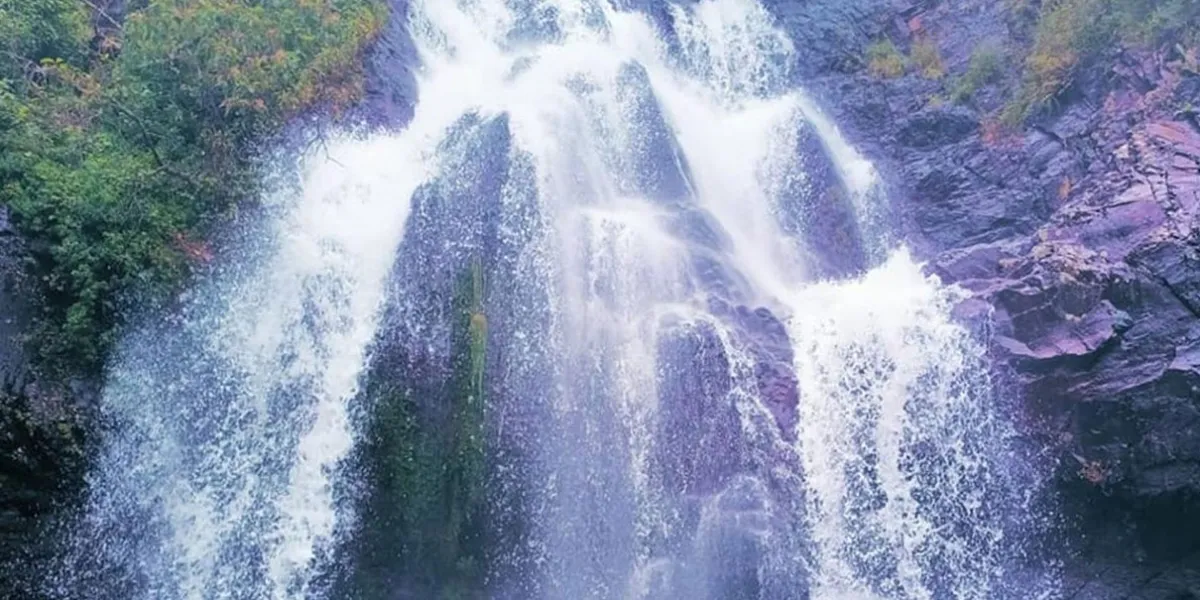 Cascada de Bandola: cómo llegar a la caída de agua escondida entre las montañas de Hidalgo