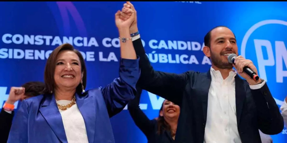 Por malos resultados con Xóchitl Gálvez, Max Cortázar pide renuncia de Marko Cortés