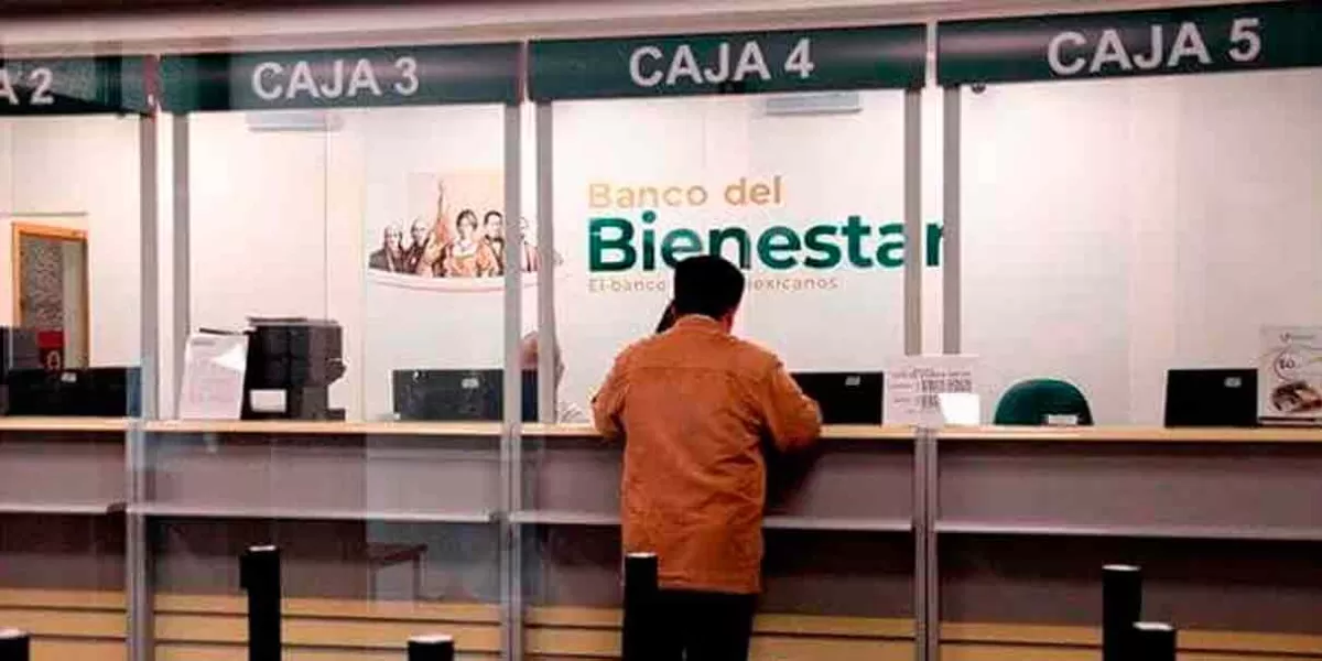 Ya se está pagando la Pensión para Adultos Mayores