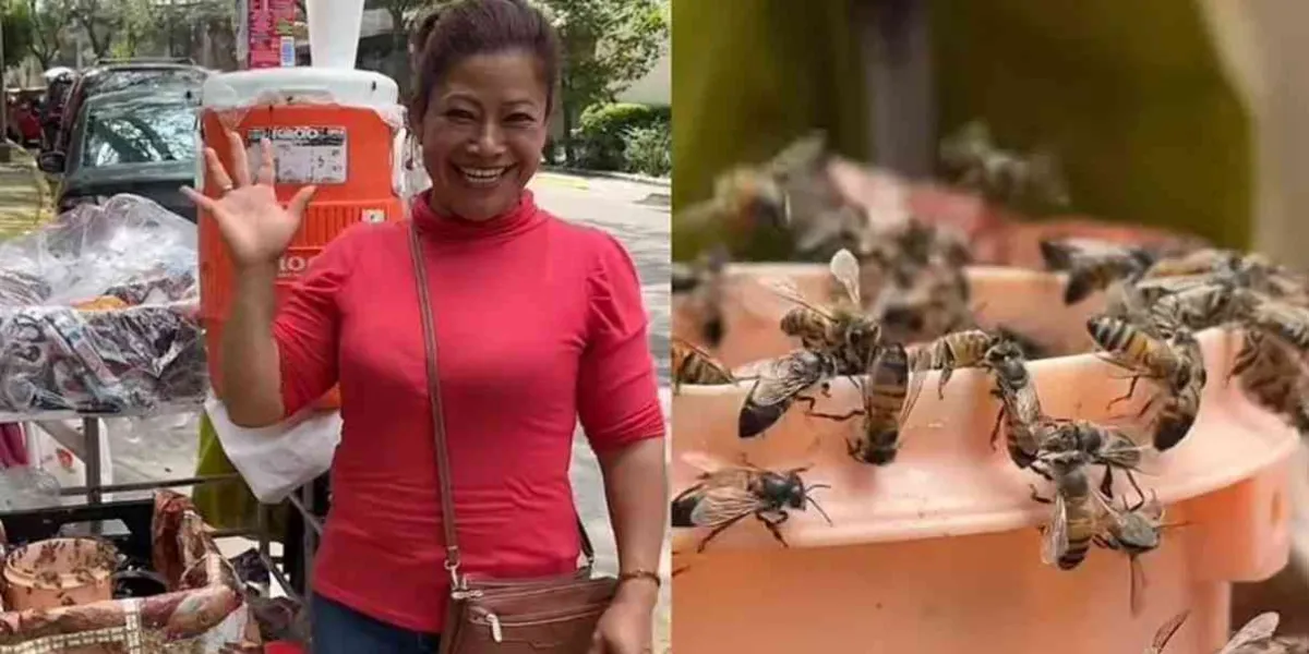 VIDEOS: "Reina de las abejas", la puedes conocer en La Condesa 