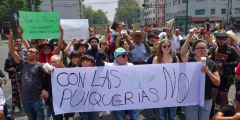 Protestan por cierre de pulquerías en CDMX; El pulque: identidad y patrimonio bajo amenaza