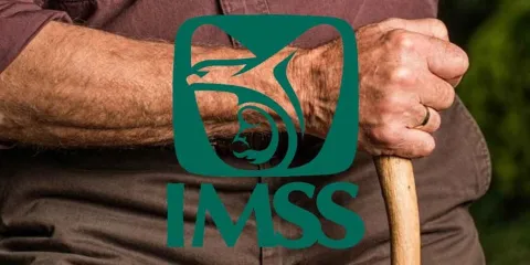 Retiro Anticipado del IMSS: Conoce cómo acceder a tu pensión antes de los 60 años