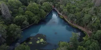 Bosque de las Truchas: el plan perfecto para una escapada a Hidalgo