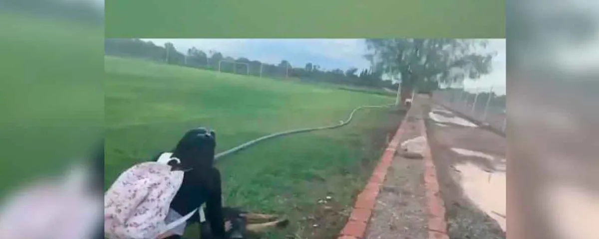 VIDEO. Hombre mata a tiros a dos perros en San Luis Potosí mientras una adolescente los paseaba