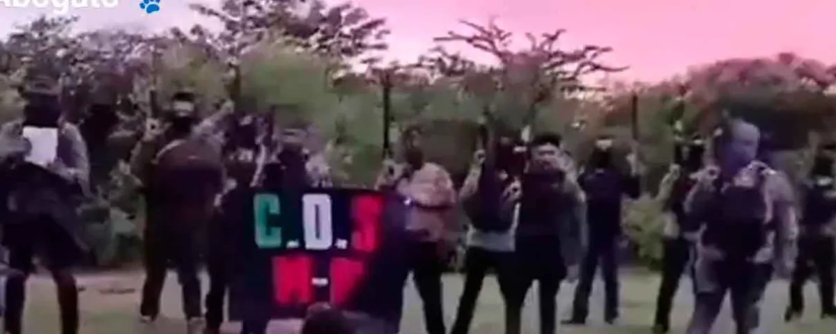  "NO MATAMOS INOCENTES". Cártel de Sinaloa se adjudica masacre en Zacatecas: