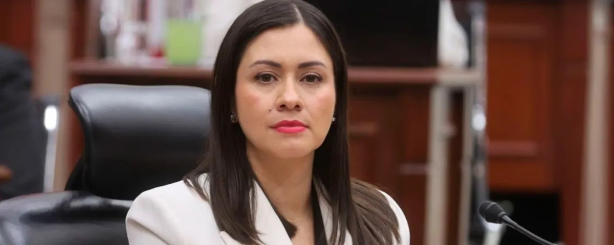 Blanca Cruz anuncia tres renuncias en el INE y revisión de irregularidades