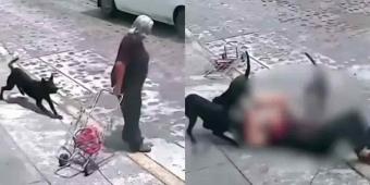 En calles de Querétaro, jauría de perros ataca a abuelita