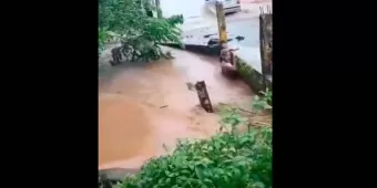 Hombre es arrastrado por violenta corriente del río “Culebrado” en Catemaco